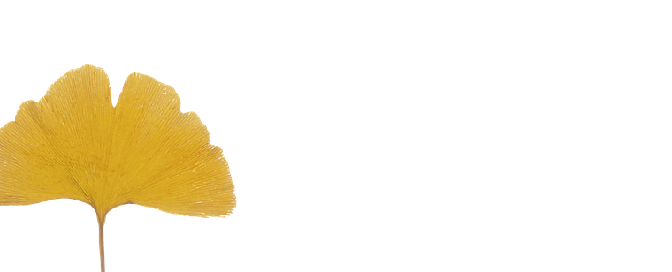 米沢みさわ小学校｜とここと