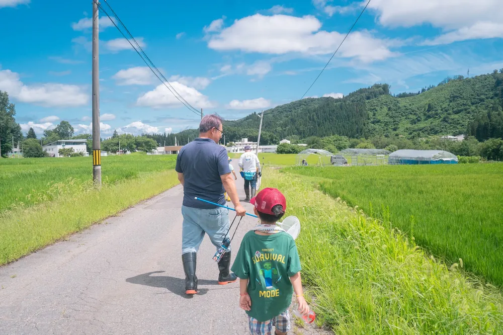 虫とり網を持って田んぼ道を歩く親子の後ろ姿